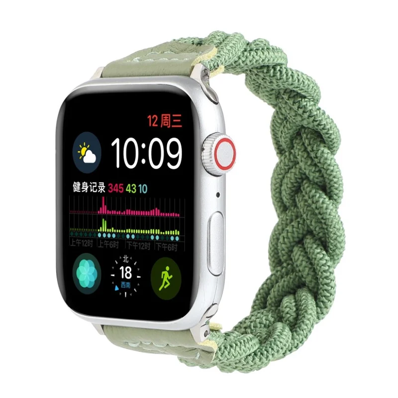 Sehr gepflegt Universell Apple Textil / Nylon armband
