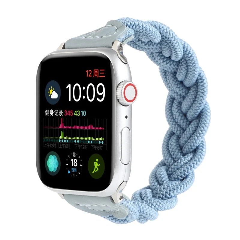 Sehr gepflegt Universell Apple Textil / Nylon armband
