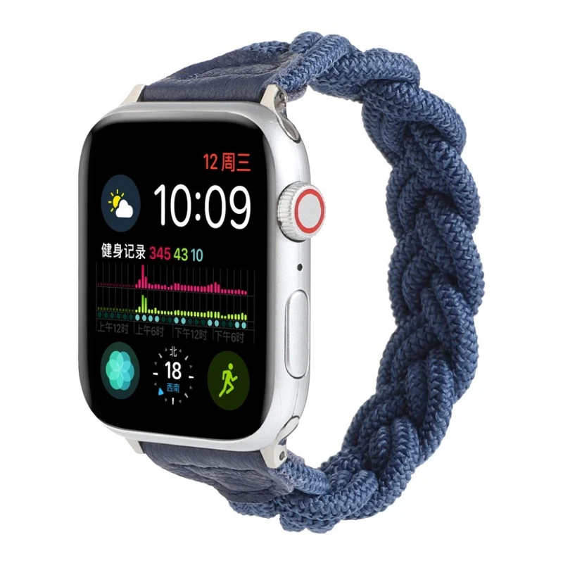 Sehr gepflegt Universell Apple Textil / Nylon armband