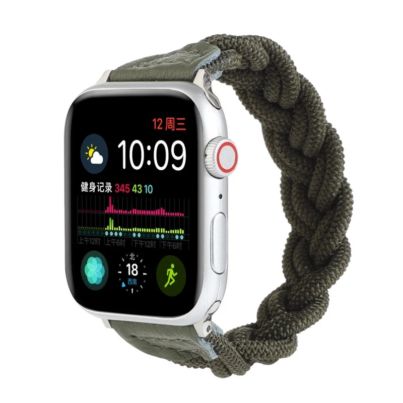 Sehr gepflegt Universell Apple Textil / Nylon armband